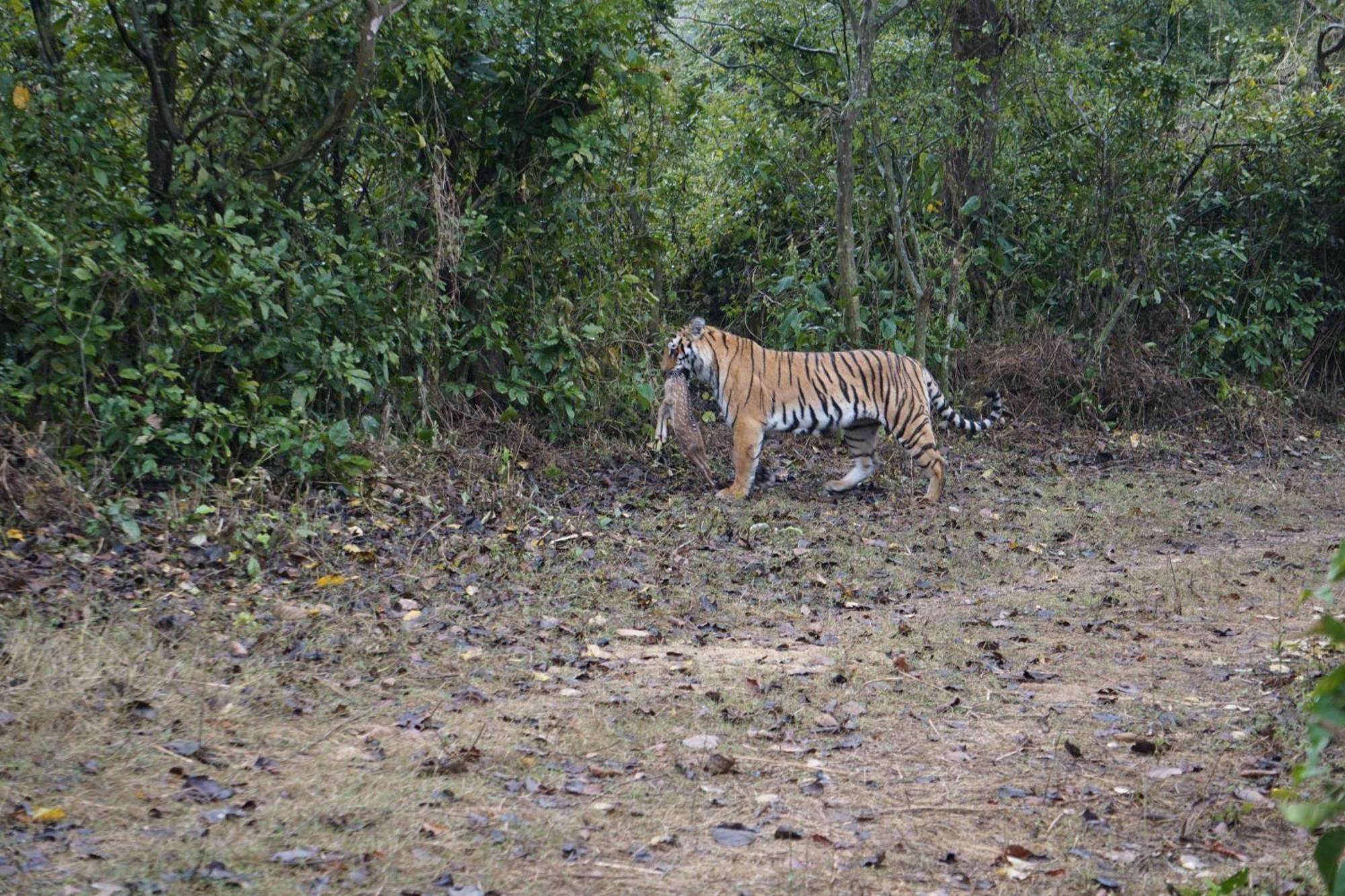 Jimdeer Corbett Hotel Ramnagar  Exterior photo